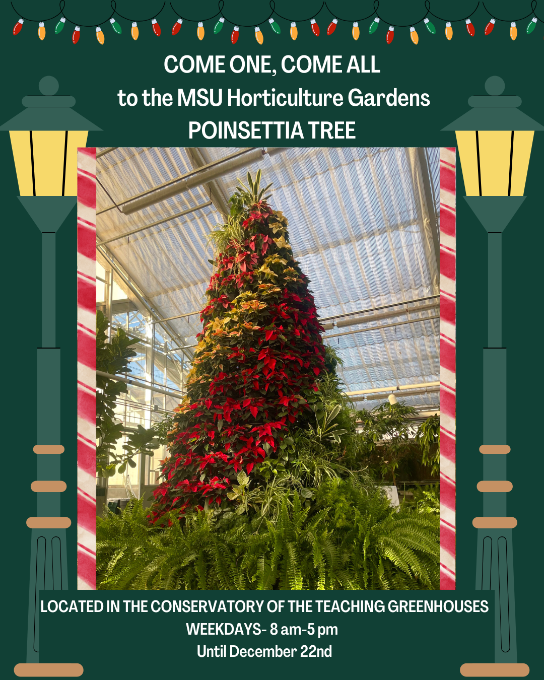 Come One_Come All _Point Tree (Instagram Post (45)).png